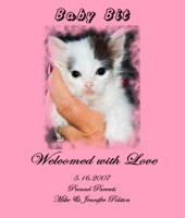 /album/specialty-item-samples/card1-jpg1/